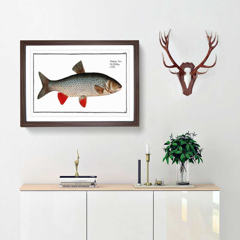 Idus-Carp Fish by M.E. Bloch - Framed Print, 35cm H x 50cm W x 2cm D, Walnut