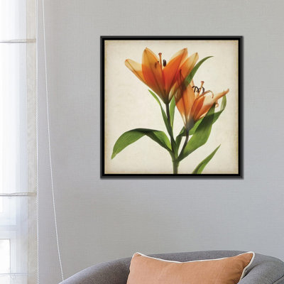 «Parchment Flowers X», impression sur toile