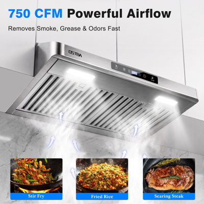 30 in Under Cabinet Range Hood, 750 CFM Stainless Steel Kitchen Vent with Gesture Touch & Remote Control