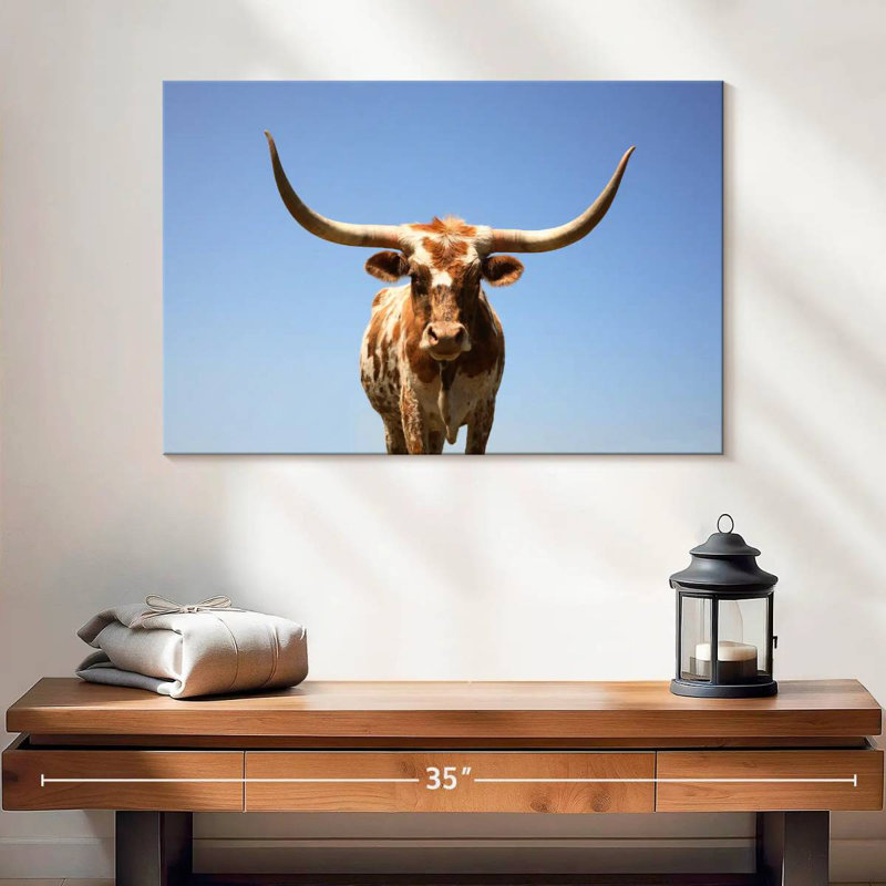 Longhorn Cattle Portrait, 16" H x 24" W