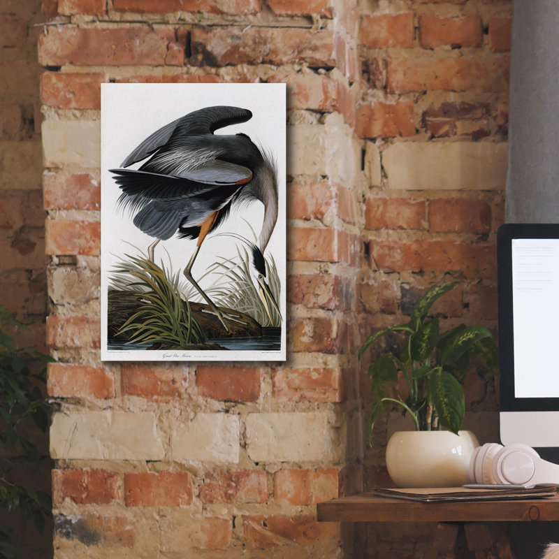  «Great Blue Heron» par Stellar Design Studio, art mural sur toile, 12 po x 18 po