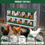 Chicken Coop-242524473