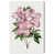 Toile tendue sélectionné