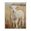Curly Lamb in Grassy Field Canvas, design par Petal Prints Design-1538153222