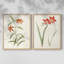 Fleurs des saisons III - reproduction encadrée de qualité supérieure - prête à être accrochée - aucun clou requis - aucun clou requis-382422677-382422678