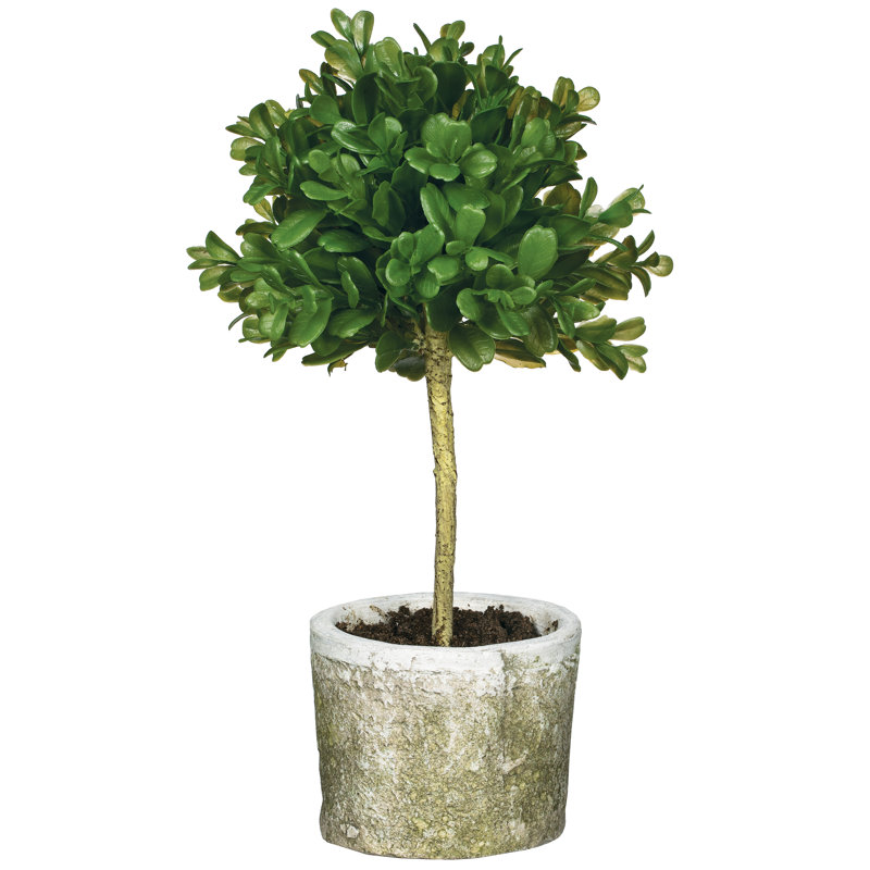 12'' Faux Boxwood Tree