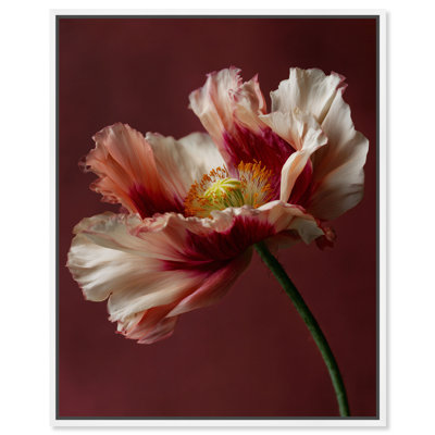 Merlot Blush Blossom I Print by Oliver Gal