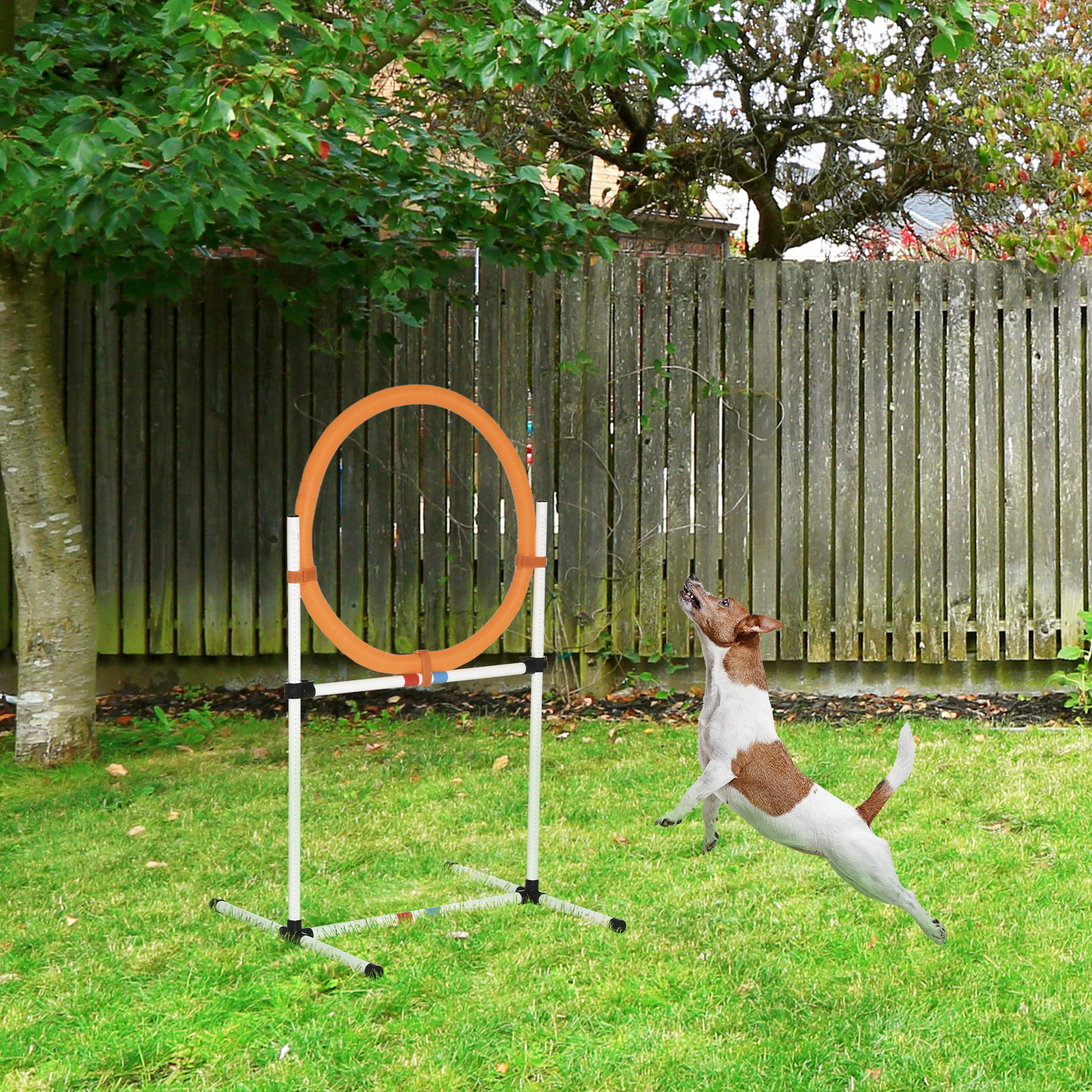 Curated visual reference: Fresh Look at Orren Ellis 21 Dog Training Equipment Plastic Tire Jump Ring