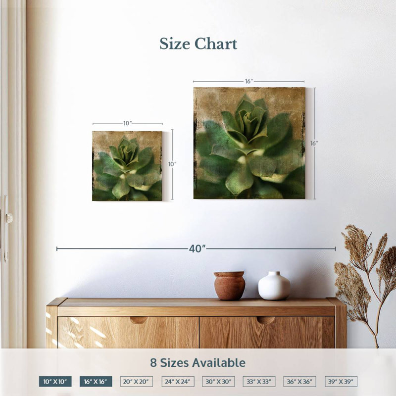 Harnek Succulent I