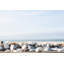By the Sea-324375197-324375196-324375203