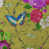 Pattern Butterfly is unavailable