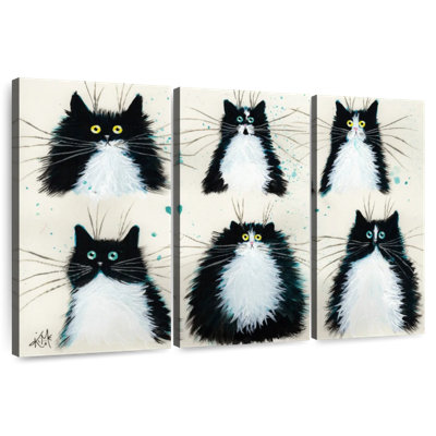 Tuxedo Cats