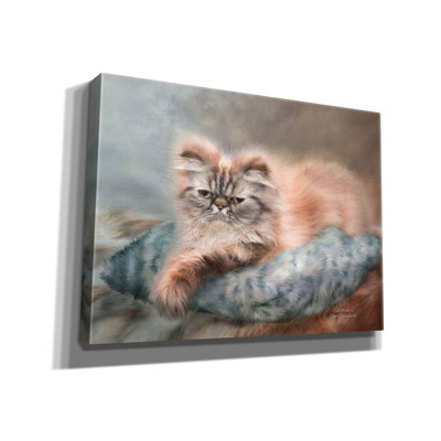'Cattitude I' by Carol Cavalaris Canvas Wall Art