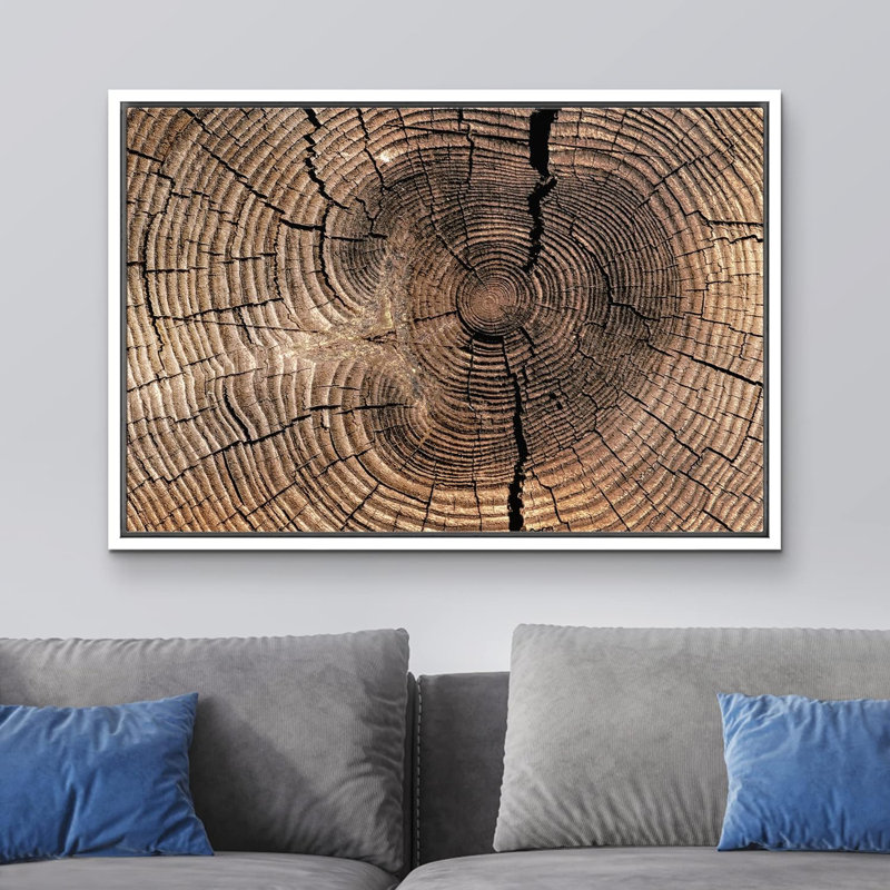 «Brown Log Wood Ring Rings Nature» sur toile, Cadre flottant blanc, H 24 po x l 36 po x P 1,5 po