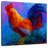 Brampt Rooster Bob-109358805