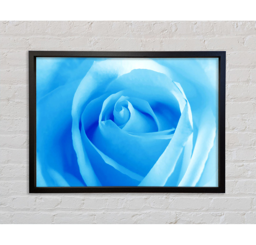 Baby Blue Rose - Einzelner Bilderrahmen Kunstdrucke auf Leinwand