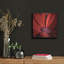 «Red Gerbera On Red 06» par Tom Quartermaine-1206293351
