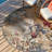 Keazia Indoor/Outdoor Area Rug-537325992