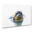 Grey Seal - Wrapped Canvas-55360433