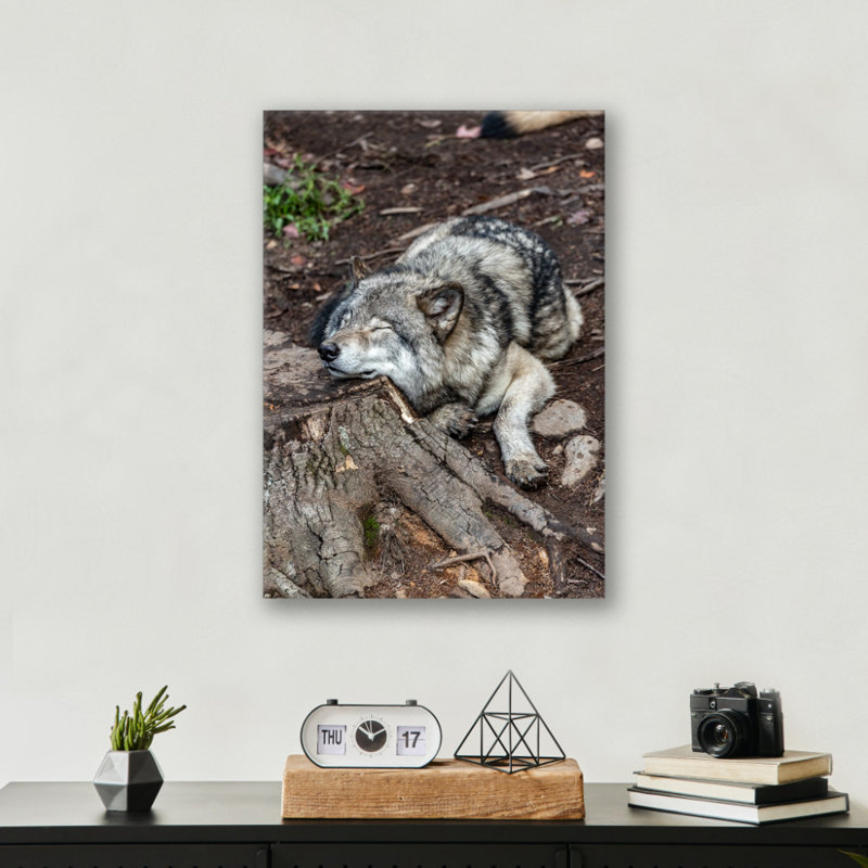 Resting Wolf Print Wall Art - Wildlife Wolf Animal Poster - Forest Nature Scenic Artwork - Rustic Cabin Lodge Home Decor - Wild Predator Illustration Print - Minimalist Animal Wall Art - Adventure Nature Gift