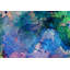 Parvez Taj - Wrapped Canvas Print-16671493