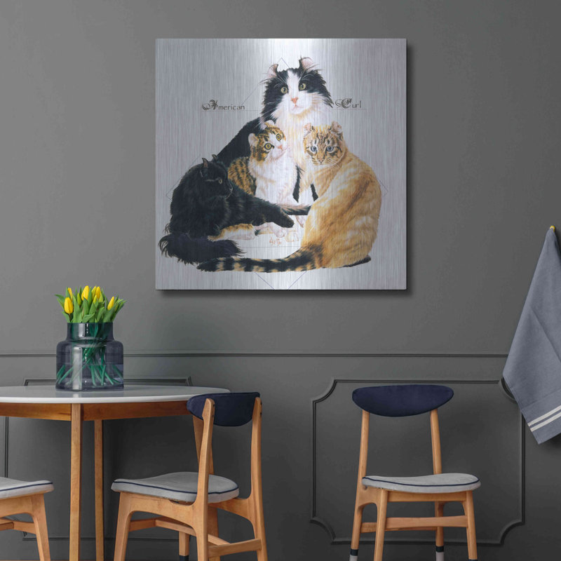American Curl par Barbara Keith - reproduction sur métal, L 36 po x H 36 po x P 0,13 po
