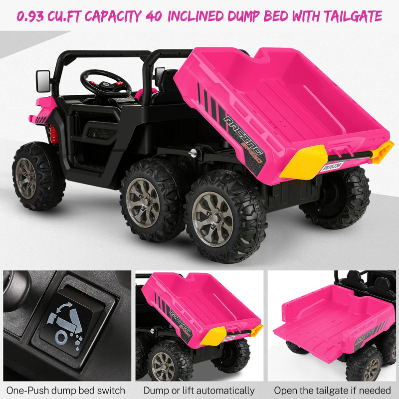Delia Himimi 24 Volt 2 Seater All-Terrain Vehicles Battery Powered Ride On Toy with Remote Control, Pink