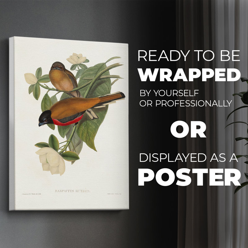 ElegantTrogonsVIII -Canvas Print Only - NOT FRAMED, 18" H x 12" W