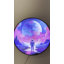 Enseigne lumineuse 35,5 po Zela
