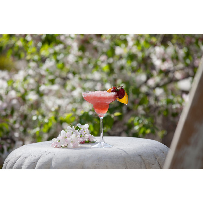Margarita 10 oz. Plastic Margarita Glass