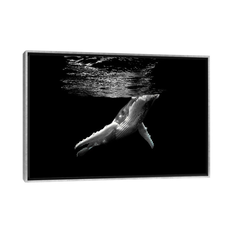 «Breathe» par Jordan Robins - reproduction de photo, Pas de tapis, Toile avec cadre argenté, H 18 po x l 26 po x P 1,5 po