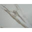 Carreau de mur et de sol en porcelaine 24 po x 48 po