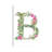 Botanical Letter B by Kelsey McNatt - Wrapped Canvas Rectangle Print-1426993785-1426993784