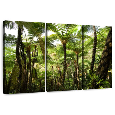 Alvord Okinawa Fern Forest