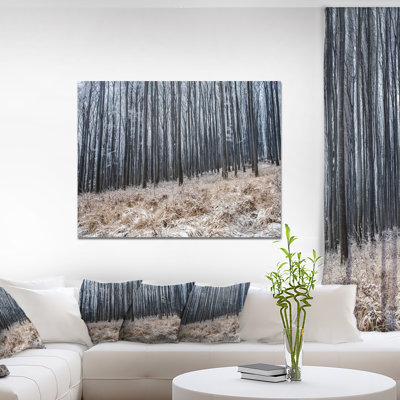 «Moody Cold Forest with Thick Woods», reproduction de photo sur toile
