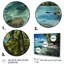 Ambor Bora Bora Beach IV - Imprimé-1650748444-1863035649