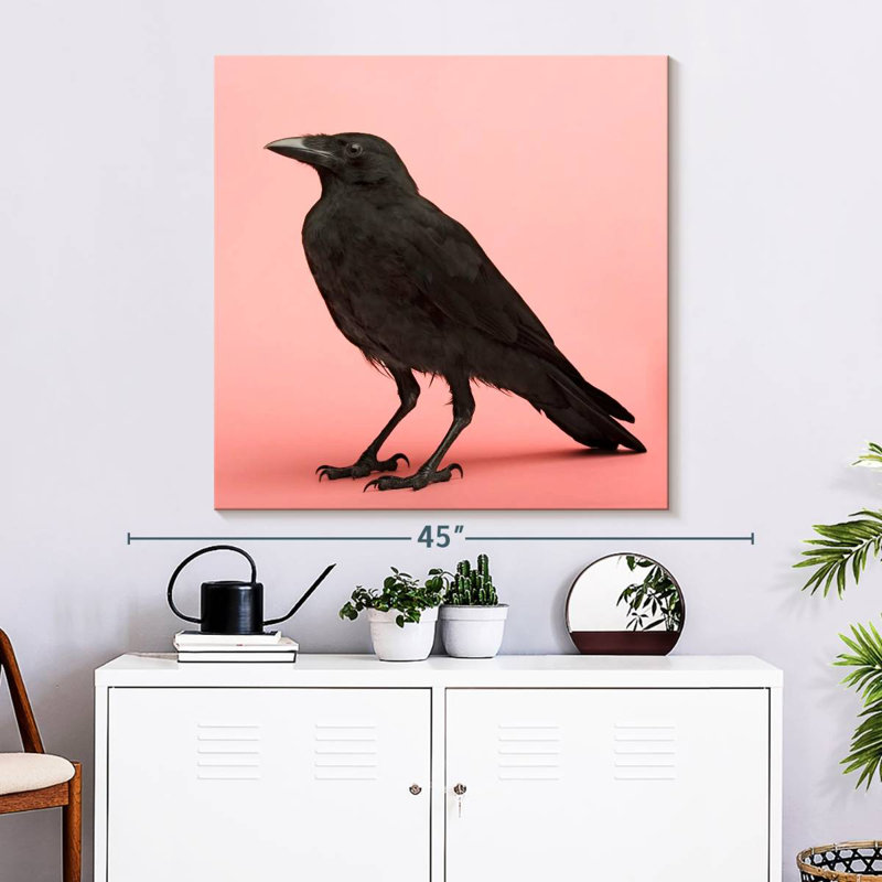 Brampt Black Carrion Crow, 33" H x 33" W
