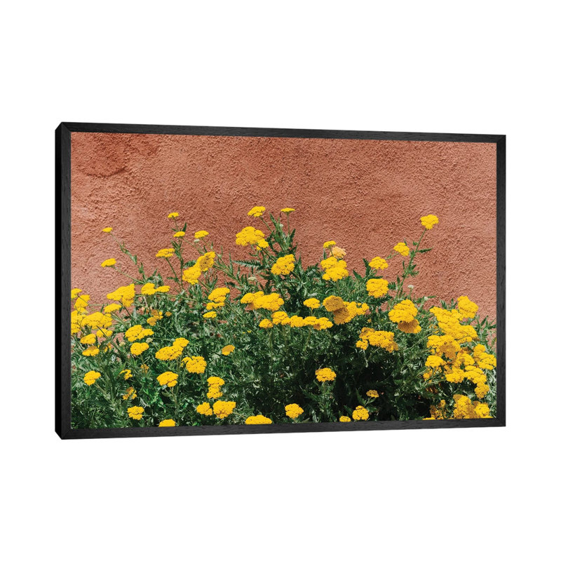 New Mexico Blooms by Bethany Young - Print on Canvas, Black Framed, 45.72cm H x 66.04cm W x 3.81cm D