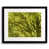 Papier avec cadre noir sélectionné
