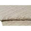 Linen Plaid Area Rug in Beige