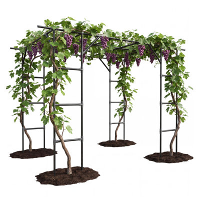 Metal Garden Arch Trellis for Climbing Plants, 114.17 x 78.84 x 94.49 Inch Steel Frame with PE Coating for Backyard, Black