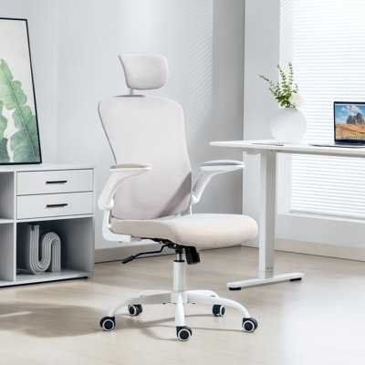 Chaise de bureau ergonomique, chaise de bureau avec support lombaire 4D, gris
