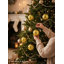 Ornement boule de mercure-1622221914