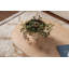 Tatjana Coffee Table-1772600678-1772600592-1772600685