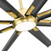 Gold with Matte Black Blades