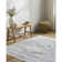 Janiaha Washable Oriental Indoor Rug