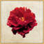 Textured Petals 1 Print by Lillian August