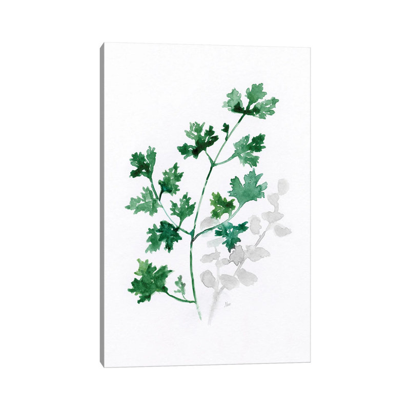 Freshly Picked I By Nan - Wrapped Canvas Art Prints by Nan - Wrapped Canvas Gallery-Wrapped Canvas Giclée