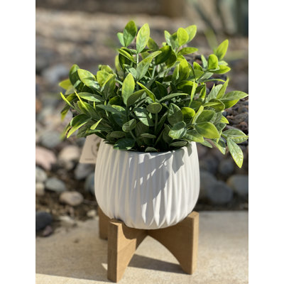 Plante d'eucalyptus artificiel 4,75 po en pot