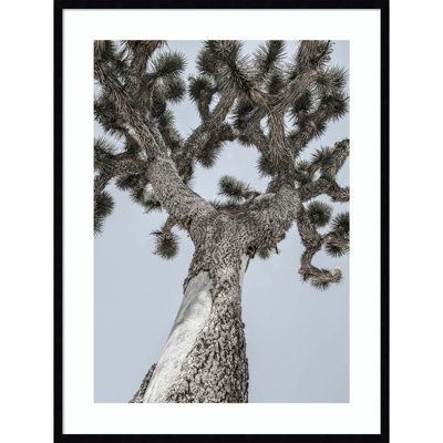 Joshua by Shot by Clint Wood Framed Wall Art Print